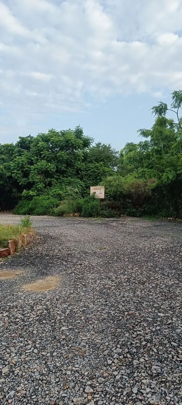Aravali Biodiversity Park