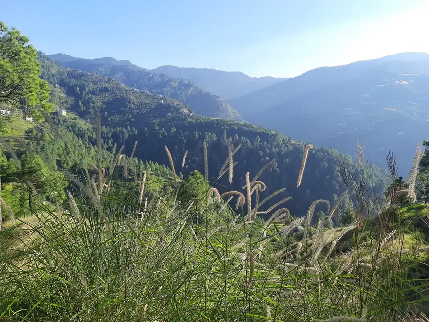 Shimla Hill Station